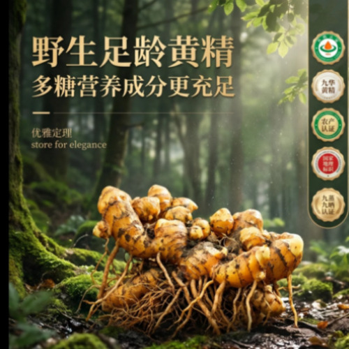 电商视觉与产品渲染